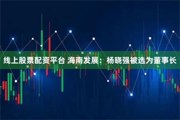 线上股票配资平台 海南发展：杨晓强被选为董事长
