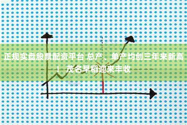 正规实盘股票配资平台 总产、单产均创三年来新高！ 茂名早稻迎来丰收